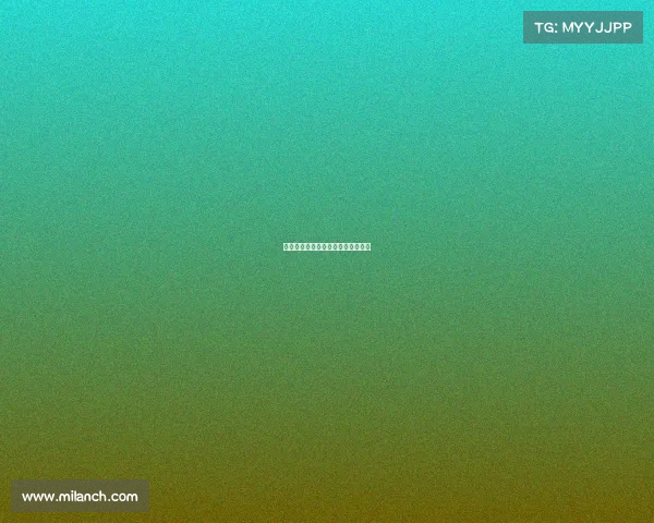 快船队稳扎稳打，顺利完成赛季任务